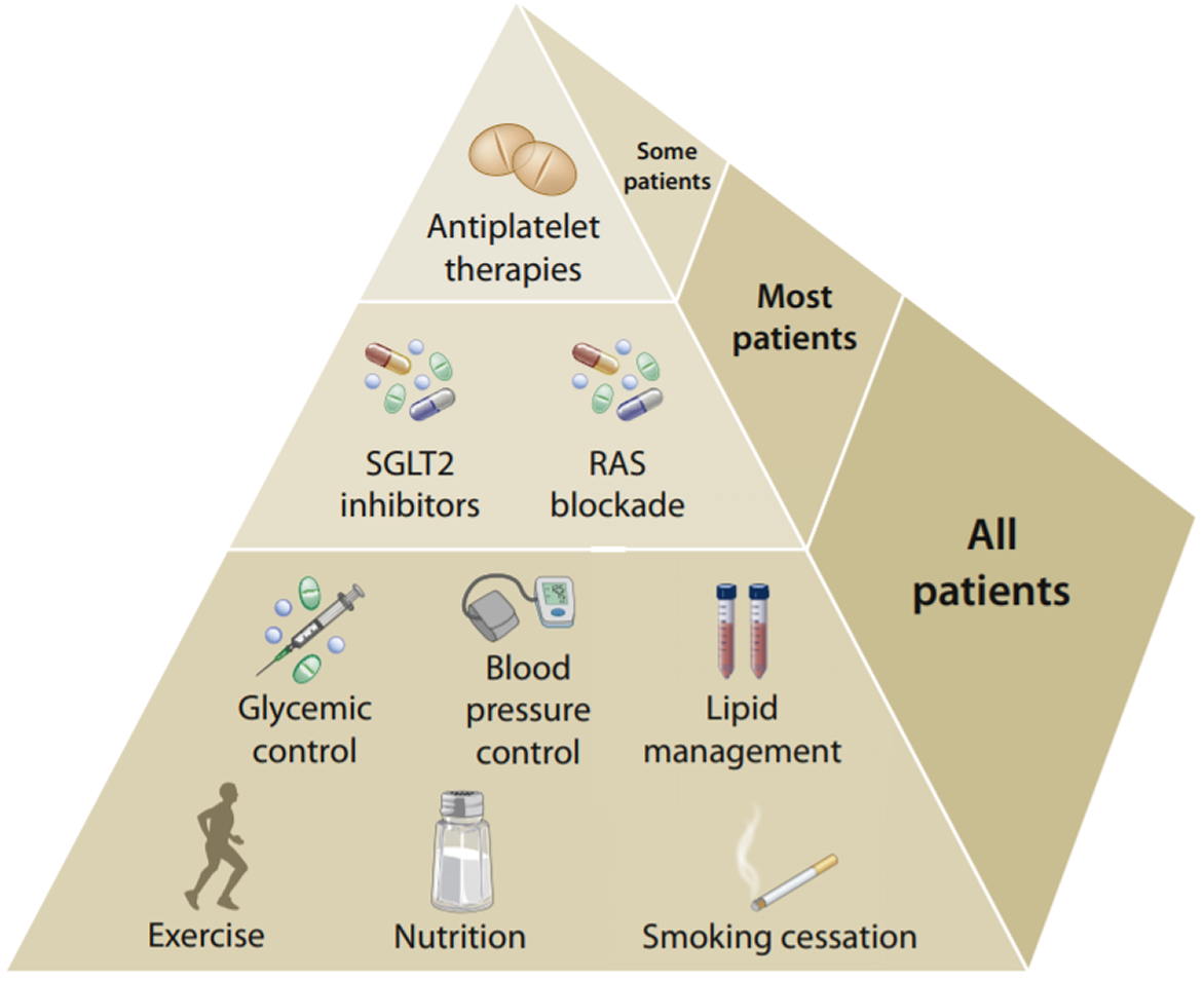 diabetes kdigo figure 2